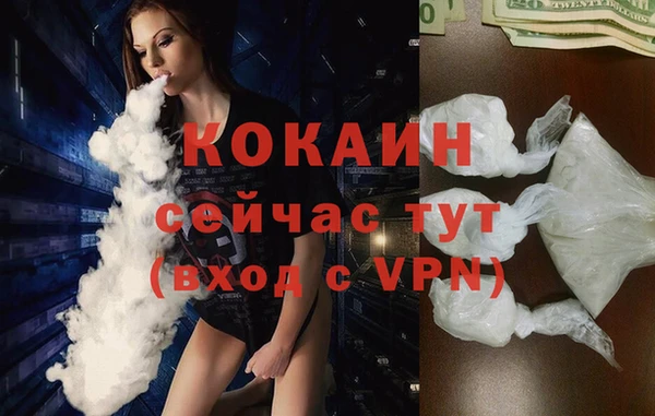 дживик Навашино