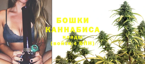 эйфоретик Нея