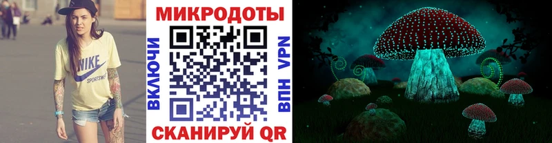 Галлюциногенные грибы Psilocybe  Подпорожье 